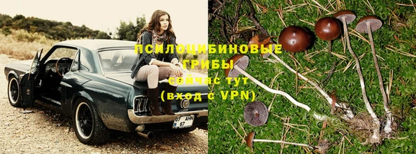 прущая мука Алзамай