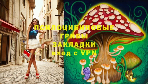 прущая мука Алзамай
