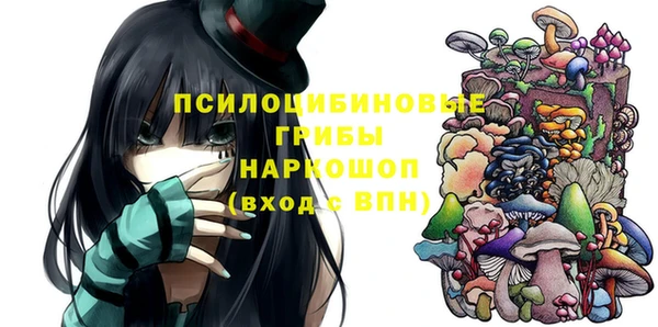 стафф Алексин