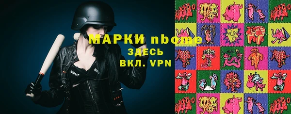 стафф Алексин
