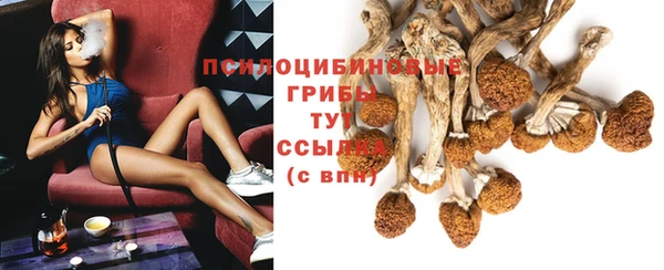 стафф Алексин