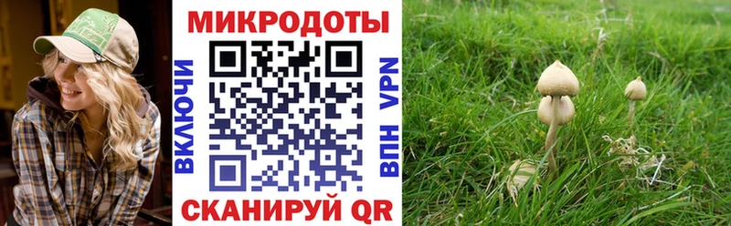 магазин наркотиков Фатеж Псилоцибиновые грибы GOLDEN TEACHER